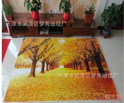 【梦秀地毯厂厂家3D印染立体地毯地垫客厅茶几卧室床边毯进门地垫可定制T88】天津市武清区梦秀地毯厂 - 产品库