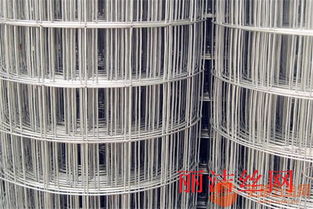 济南圈玉米网 低碳环保的高品质选择